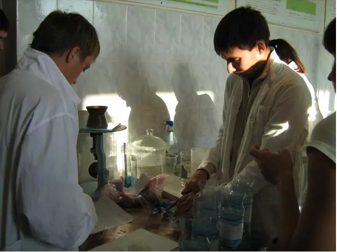 Практика студентов на кафедре